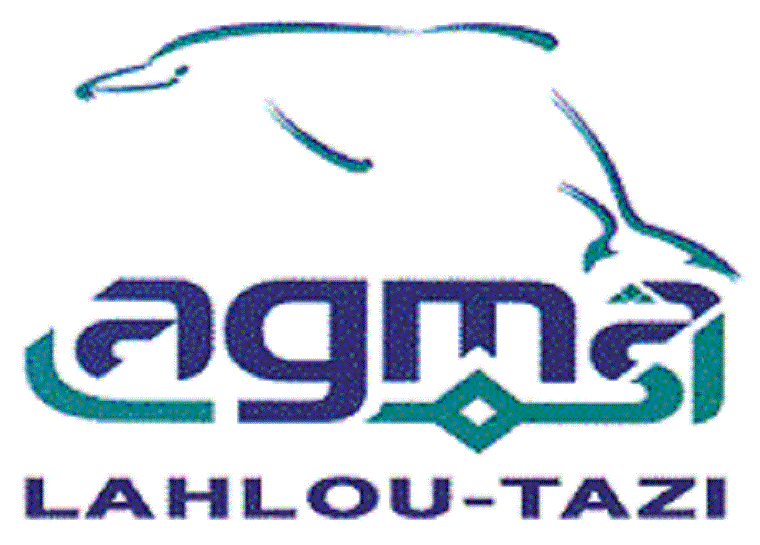 The Board of Directors named Rachida Bedabdallah as the new director